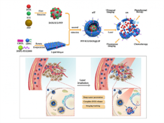 ACS Biomater. Sci.Eng.