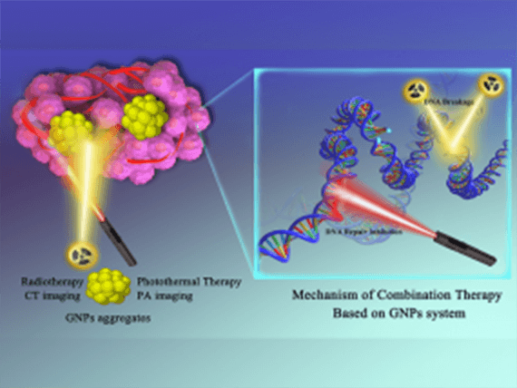 Nanomed.Nanotechnol.Biol.Med.